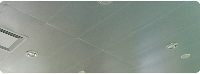 Waschküchen Plafond PVC-Deckenverkleidungen waschbar mit einer Nut